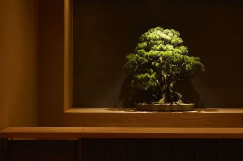 GINZA BONGEN 01